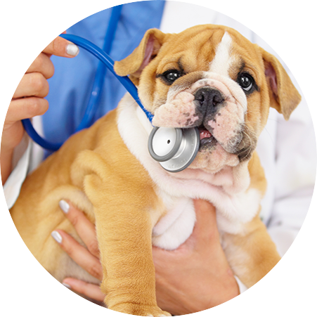 about-clinic about-clinic