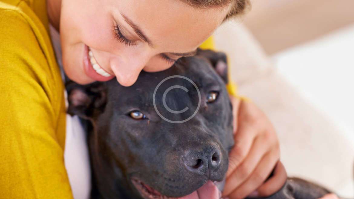 لدغة واحدة، عدوى واحدة، هذا يكفي