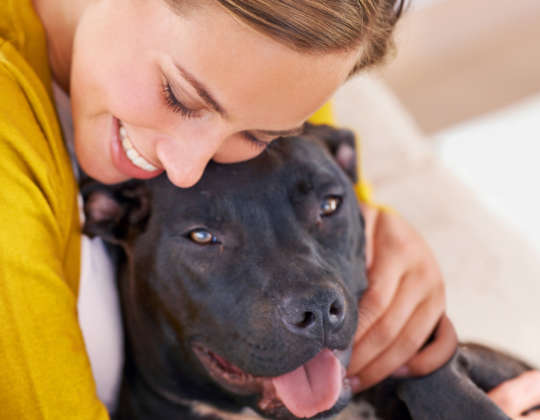 لدغة واحدة، عدوى واحدة، هذا يكفي